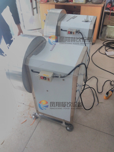 เครื่องขูดผักอัตโนมัติ ขิง มะละกอ ผลิตในอินเดียและจีน - Product Image 4