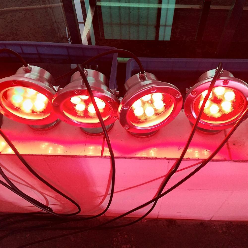 24V DC 48W IP68 RGBW (4IN1) Led Swimming Pool Light with 3years Warranty