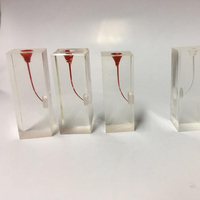 Bloque de Práctica para Endodoncia, Bloque Dental para Entrenamiento