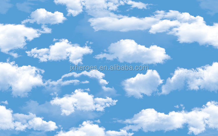 Numéro de type E31258K