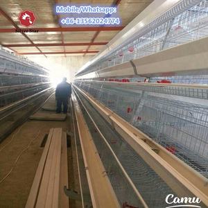 Cages à batterie à prix avantageux pour poules pondeuses, système de cages à poulets automatiques en forme de <span class=keywords><strong>A</strong></span> - Product Image 3