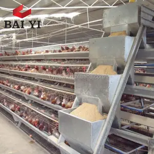Automatic Feeding Equipment System For Chicken Farm