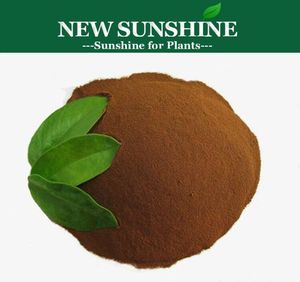 Ácido fúlvico Soluble en agua Ácido fúlvico 95% Suplemento en polvo Fertilizante Ácido fúlvico - Product Image 5