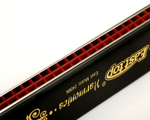 Easttop T2406K Armónica Trémolo Profesional de 24 Orificios para Principiantes, Latón Negro, Acero Inoxidable, Caja de Cuero, C Mayor, Fósforo - Product Image 4