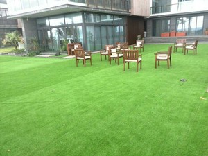 Campo de fútbol de césped impermeable tenis artificial hierba de <span class=keywords><strong>pampas</strong></span> para relajación al aire libre - Product Image 6