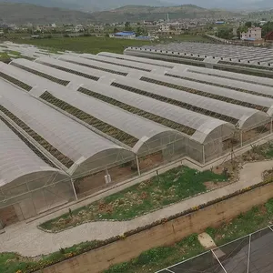 Multi sistema di irrigazione span e sistema di controllo intelligente pellicola serra