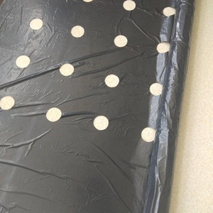 <span class=keywords><strong>Film</strong></span> agricole PE noir paillis avec trous moulage par soufflage plastique coupé sur commande - Product Image 3