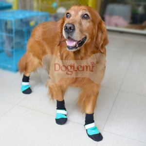 Doglemi थोक नरम 4 pcs/set आउटडोर अच्छा निविड़ अंधकार विरोधी स्लिप स्किड कुत्ता जूते कुत्ता जूते पालतू जूते - Product Image 5