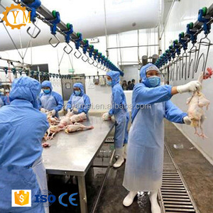 Matadero semiautomático de pollo para codorniz, pato y pollo - Product Image 1