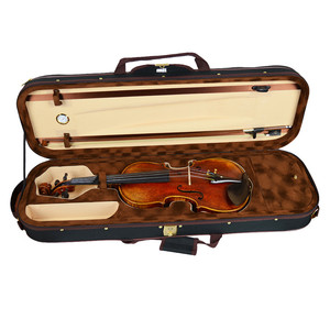 <span class=keywords><strong>Violin</strong></span> Điện Chuyên Nghiệp Thủ Công Cho Sinh Viên - Product Image 6