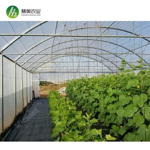ไบเออร์100% อุโมงค์การเกษตรขนาดใหญ่ทำจากวัสดุ PE เรือนกระจกช่วงเดียวเสริม - Product Image 5