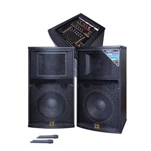 Goede Prijs Klankkast Full Range 2 way Speakers in Paar