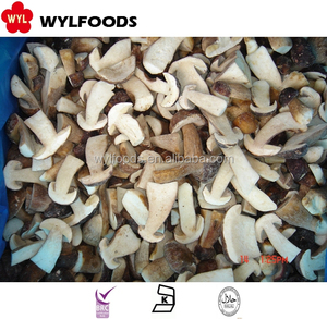 Giá Tốt Bán Buôn Nấm Porcini IQF Shole/Cuts <span class=keywords><strong>Boletus</strong></span> <span class=keywords><strong>Edulis</strong></span> - Product Image 4