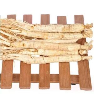 Ücretsiz örnek kökü <span class=keywords><strong>Ginseng</strong></span> yamalar asya <span class=keywords><strong>Ginseng</strong></span> - Product Image 3
