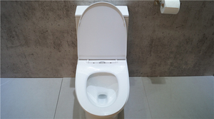 Toilette moderne occidentale à double chasse <span class=keywords><strong>standard</strong></span> 0.8/1.6 GPF Meilleure toilette à fermeture en douceur - Product Image 4