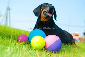 Оптовая продажа твердых мячей для домашних животных