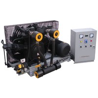 Compresseur d'air haute pression Shang air 40 bar 4,0 Mpa 2,0 m3 série 83SH pour machine de soufflage de PET