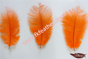 Naranja Avestruz Ajuste de la Pluma de Artesanía BRICOLAJE Pluma de Avestruz Para la Fiesta de Cumpleaños Decoraciones - Product Image 6