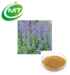 عينة مجانية توريد مصنع عضوي عالي الجودة أفضل سعر عالي الجودة استخراج مسحوق Nepeta Catnip استخراج النعناع البري