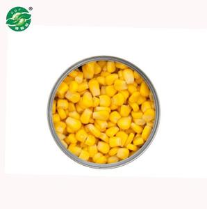 HACCP Chinese Canned Hochwertiges süßes Gemüse in Dosen Gefrorener Zucker mais