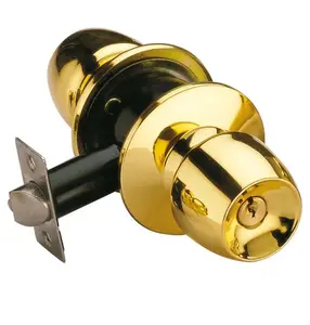 Güvenlik Boru kolu kolu kapı kilidi ve tek silindir sürgü combo lockset