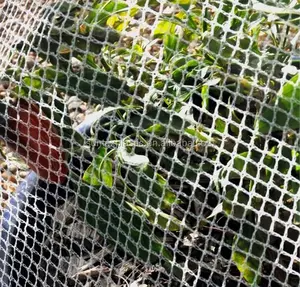 Пластиковая сетка от производителя виноградника, антиптичная сетка/Виноградная птица, сетка для сада