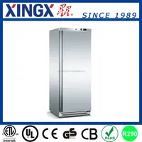 الفولاذ المقاوم للصدأ فريزر قائم ، التجارية Refrigerator_BD-500S/S-معدات التبريد