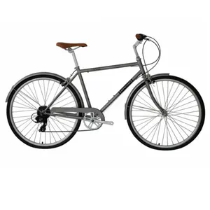 城市自行车11-爸爸Nexus 7速成人自行车/其他自行车