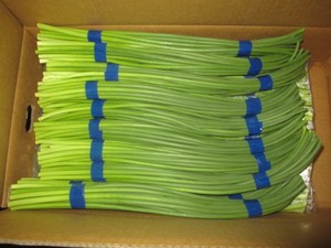 <span class=keywords><strong>Tige</strong></span> d'<span class=keywords><strong>ail</strong></span> fraîche de légumes chinois, nouveauté, 1 pièce, <span class=keywords><strong>tige</strong></span> d'<span class=keywords><strong>ail</strong></span> frais/<span class=keywords><strong>tige</strong></span> de 250g en lot - Product Image 3