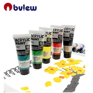 Bview Art <span class=keywords><strong>professionale</strong></span> ricco pigmento Non sbiadito Non tossico 22ml 12 colori colori acrilico Set di vernice per la pittura <span class=keywords><strong>professionale</strong></span> - Product Image 2