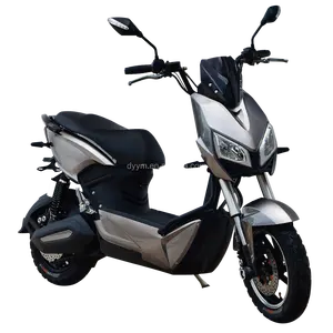 Harga Pabrik Sepeda Motor Listrik Dewasa 1500W 60V 20Ah Sepeda Listrik/Kendaraan Listrik untuk Dewasa