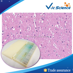 Karışık seti hazırlanan slaytlar, hazırlanan slaytlar için mikroskop, mikroskop slaytlar yapmak için nasıl - Product Image 1