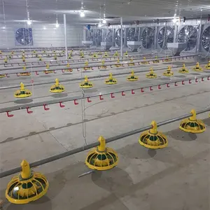 Proyecto de Parming de aves de corral moderno, equipo de maquinaria de granja de pollos usados, Alimentador automático/bebedero/ventilador/almohadilla de enfriamiento/controlador para la venta