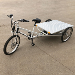 ESTER Trike กระบะไฟฟ้าสำหรับสินค้าในปี2018สามล้อสามล้อไม่ถูกต้องวงจรสามล้อ24 - Product Image 1