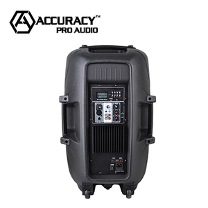 Loa Không Dây Cảm Ứng Lẫn Nhau Cầm Tay Với Đèn LED PMW15DHMX-BT Dj - Product Image 6