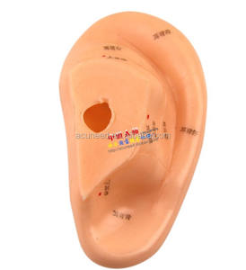 Modelo de <span class=keywords><strong>acupuntura</strong></span> de medicina china, modelo de <span class=keywords><strong>acupuntura</strong></span> - Product Image 2