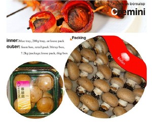 Frais bouton / crimini champignons / suisse brune rushroom - Product Image 2