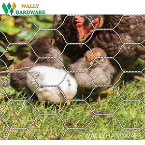 Nhúng nóng mạ kẽm lục giác dây lưới - Product Image 2