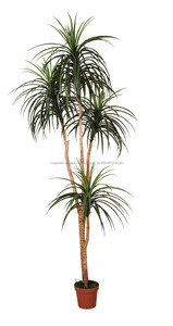 Plantas de maceta planta de <span class=keywords><strong>yuca</strong></span> artificiales pequeño bonsai <span class=keywords><strong>árbol</strong></span> artificial plantas - Product Image 6