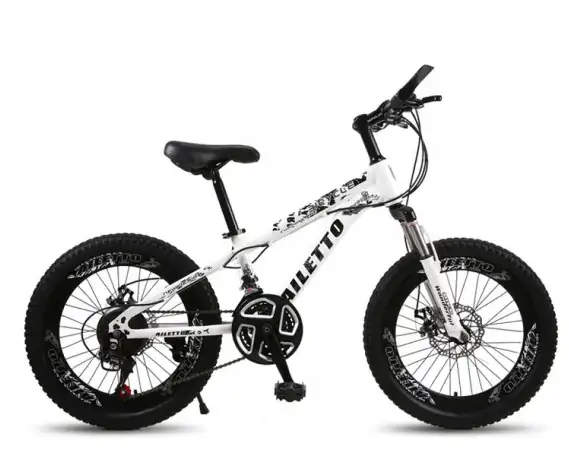 21 속도 탄소 강철 프레임 디스크 브레이크 20 인치 뚱뚱한 자전거 아이 자전거