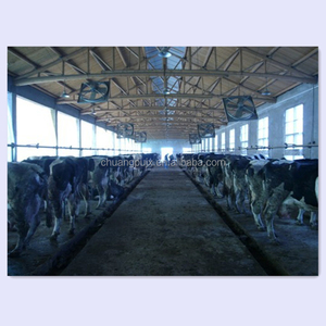 Tubería <span class=keywords><strong>de</strong></span> ordeño sistema para las vacas <span class=keywords><strong>lecheras</strong></span> - Product Image 5
