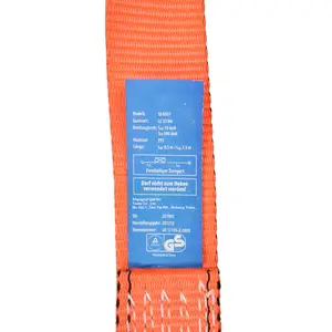 GS chứng nhận 50mm/2 "5t xe tải chở hàng lashing vành đai Ratchet Tie xuống với đôi J móc - Product Image 4