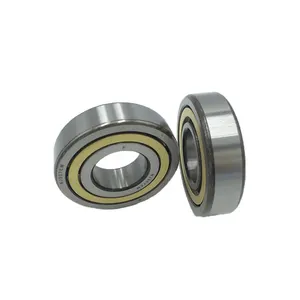 Stainless Steel RN205 E Cylindrical Roller Bearing RN205E Bearing