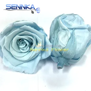 Роскошные и высококачественные Оптовые эквадорские розы, свежий консервированный цветок для продажи