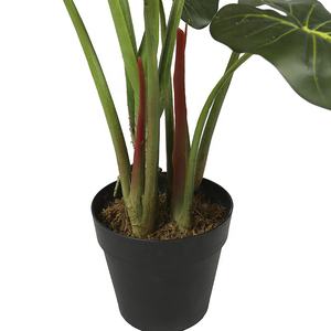 พืชสีเขียวอโลเซียมาใหม่80ซม. สำหรับตกแต่งภายใน - Product Image 2