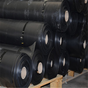 Tilapia Màng Địa Kỹ Thuật Nuôi Cá Tấm Nhựa HDPE Lót AO Dày 1Mm CuộN Trung Quốc Nhà Sản Xuất 13 Năm - Product Image 5