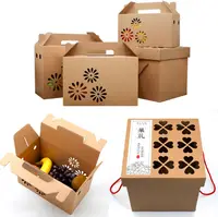 Kraft Golfkarton Droog Fruit Verpakking Gift Box Met Handvat