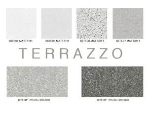 Ebro सिरेमिक terrazzo टाइल चीनी मिट्टी के बरतन मंजिल 60x60 और 60x120