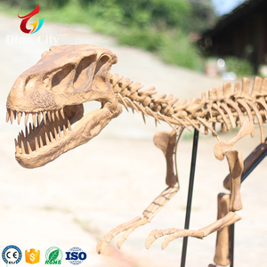 Esqueleto de <span class=keywords><strong>dinosaurio</strong></span> Artificial, calidad de museo, tamaño real - Product Image 3