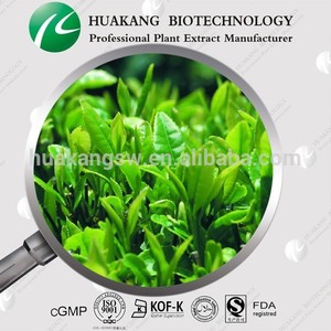 100% <span class=keywords><strong>extracto</strong></span> de té <span class=keywords><strong>verde</strong></span> Natural / <span class=keywords><strong>extracto</strong></span> de té <span class=keywords><strong>verde</strong></span> proveedor - Product Image 1